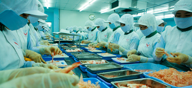 Shrimp processing plant, Can Tho province, Vietnam, 2007 (ILO / Flickr)